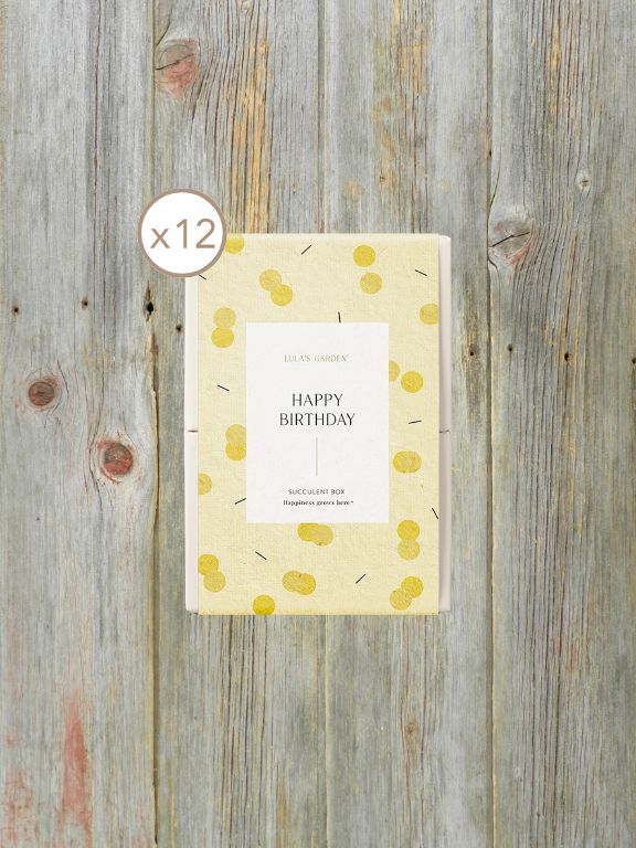LULAS GARDEN SLEEVE - HAPPY BIRTHDAY
